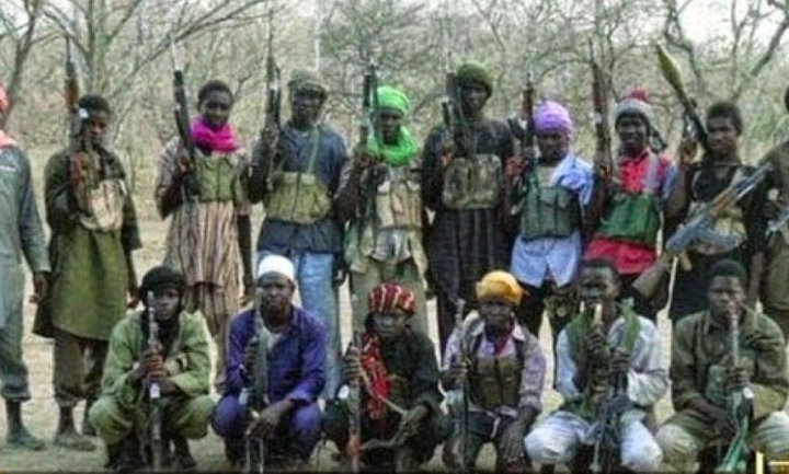 05d9fc46837d2d2e5c8b738cce053ee0