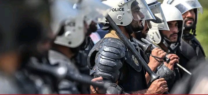 72d43922981546b09ef65e6533620c60